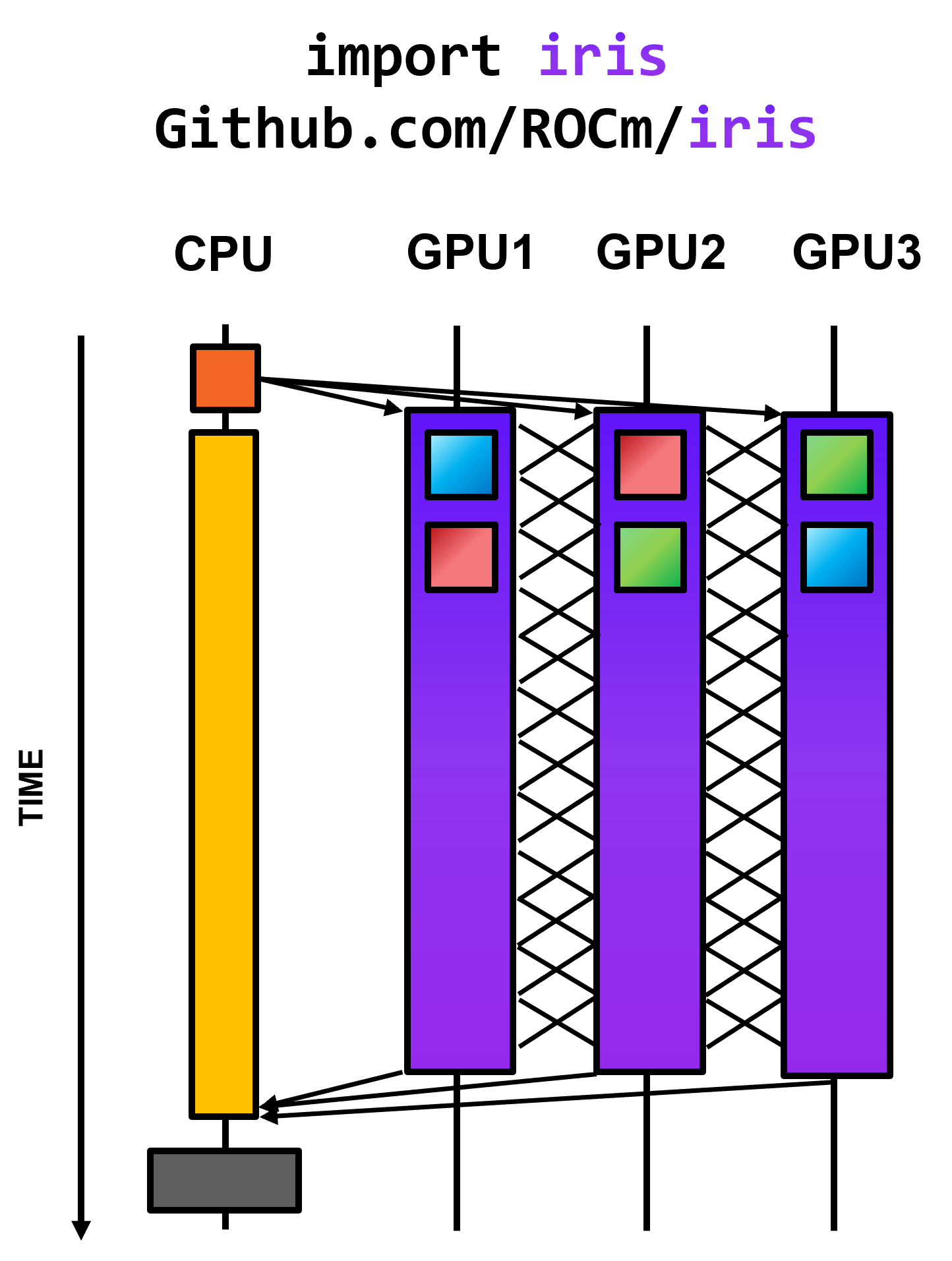 Iris Model