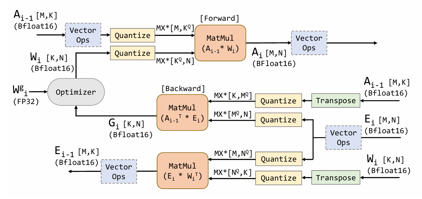 MX training dataflow showing BF16 tensors quantized before forward, activation-gradient, and weight-gradient matrix multiplications